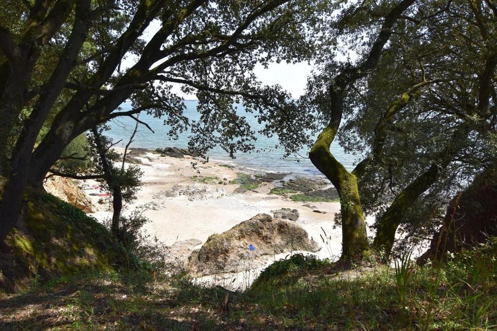 Appartement Hyper Centre, 10' Plage, Proche Gare